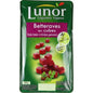 Cubic Beets Lunor