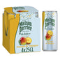 Pineapple and Mango Flavored Perrier Juice