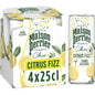 Perrier Chic Citrus Fizz Flavored Sparkling Water